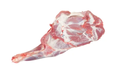 sheep leg