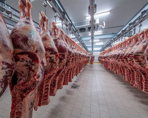 meat-processing-room-mobile meat-processing-room-mobile